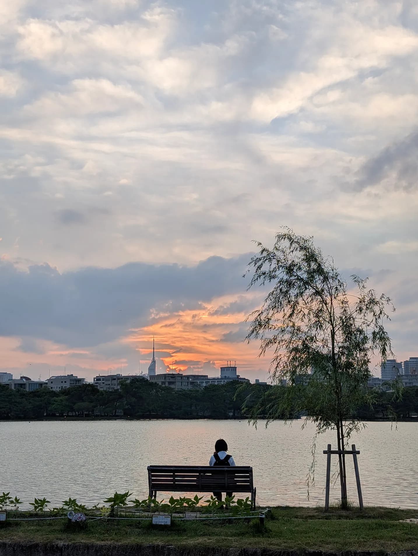 A lone figure on a bench by a park lake at sunset, Fukuoka.