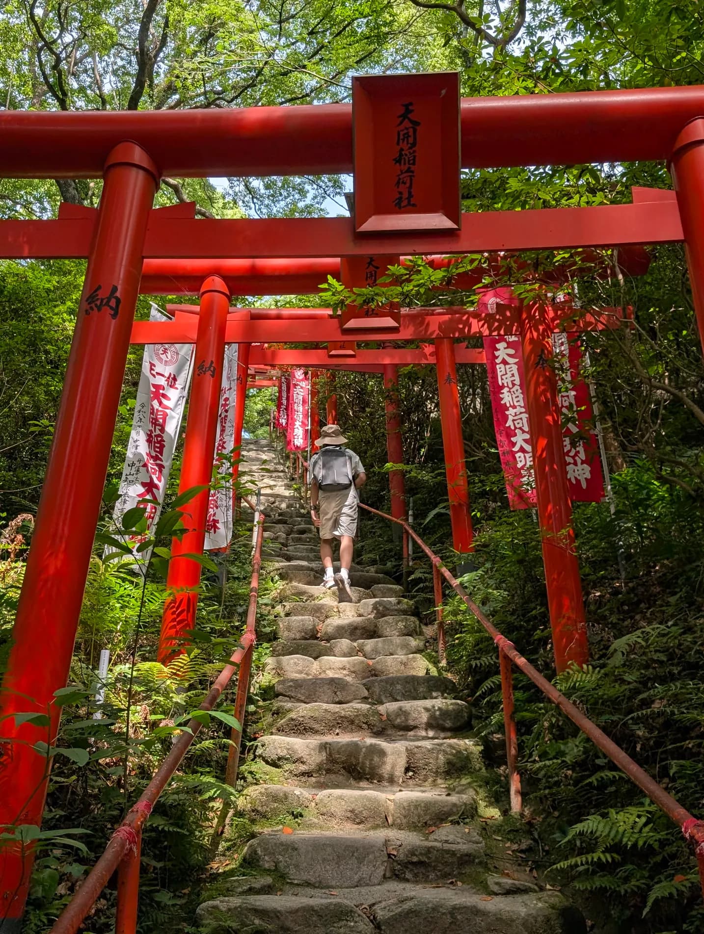 Red torii gates over stone steps climbing a wooded hillside to a shrine, Fukuoka.
