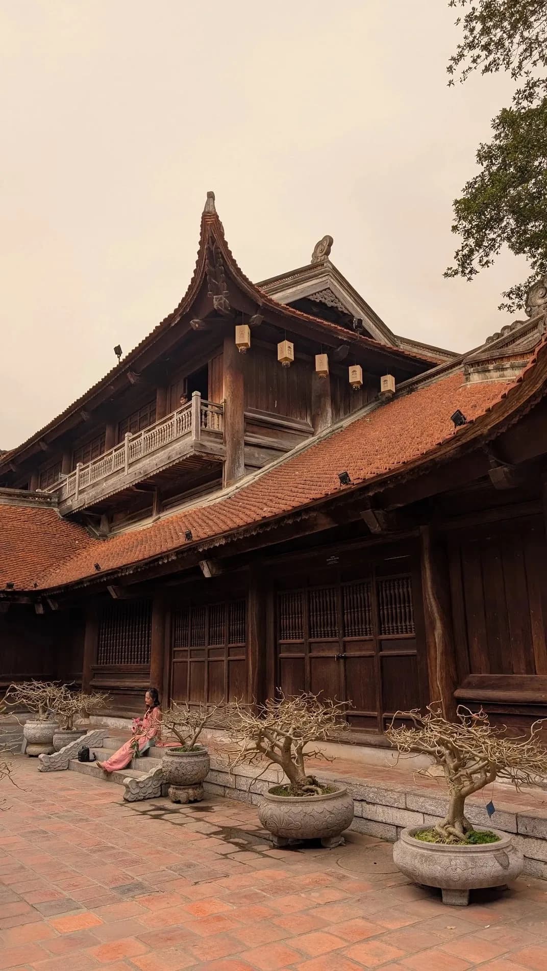 A temple courtyard in Hanoi with potted bonsai under curved tiled roofs.