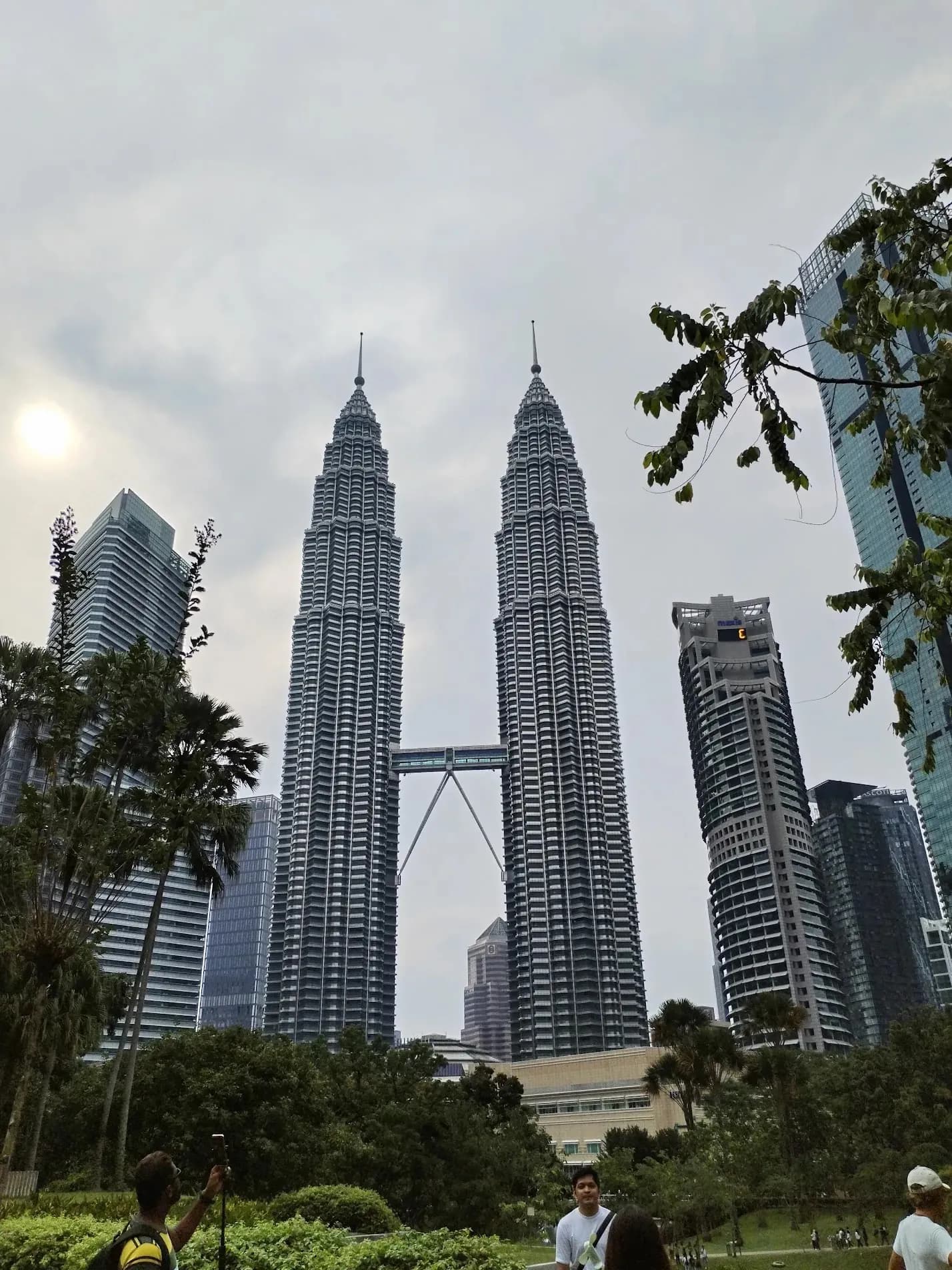 The Petronas Towers by day, from below, framed by trees.